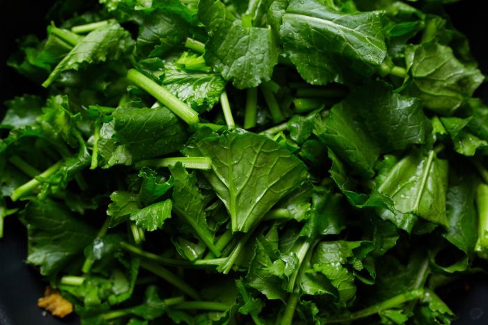 How to cook fresh mustard greens southern style